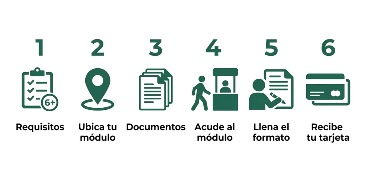 Infografia con los 6 pasos para registrarse en la Pension Bienestar